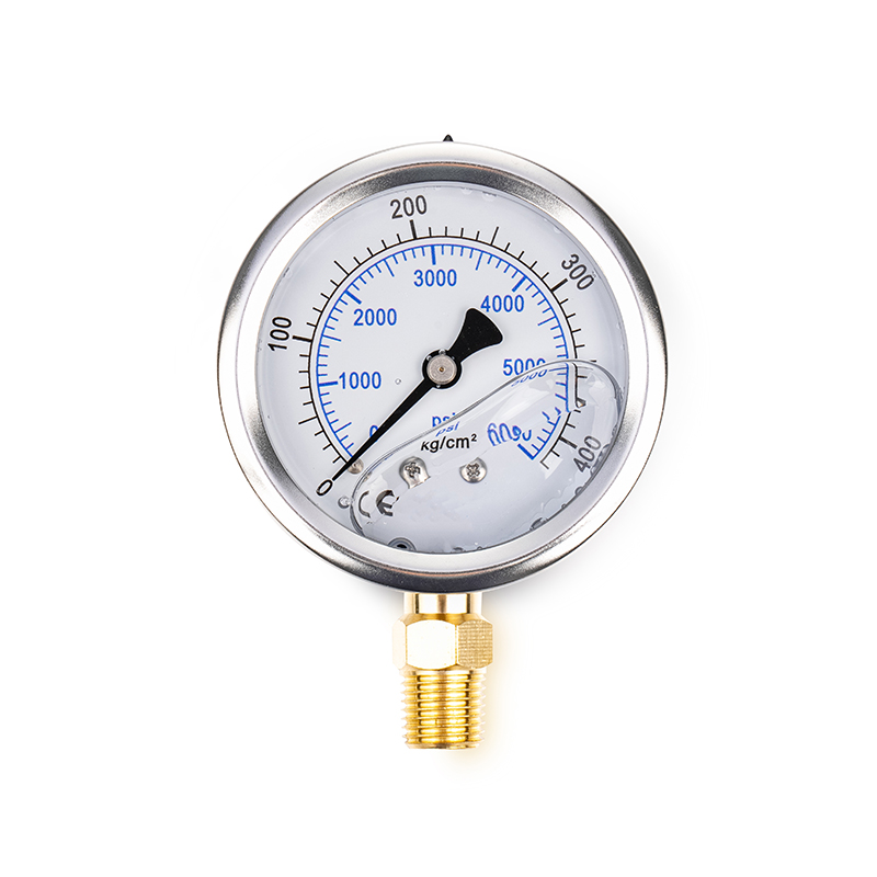 Pressure Gauge