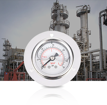 Petrochemical Industry Pressure Gauges