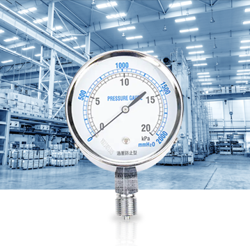 Industrial Production Industry Pressure Gauges